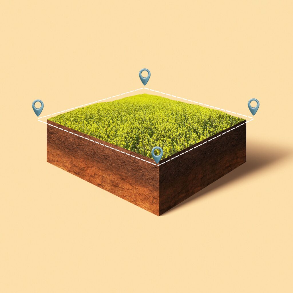 plots